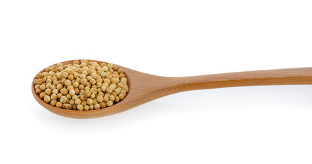 Coriander seeds in wood spoon on white background