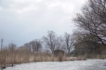 Foto auf Leinwand 近江西の湖の水郷の葦原 © aduchinootonosama
