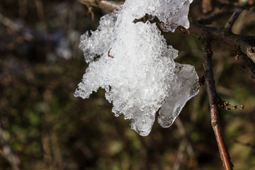 melting snow with grass