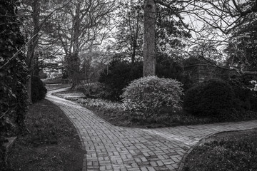 Path diverging in a garden in spring in black and white
