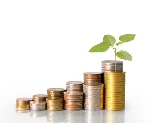 Investment concept, Coins graph stock