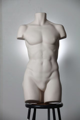 naked 3d mannequin torso body male