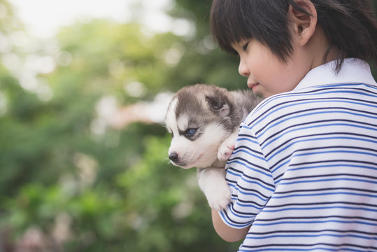 Cute asiaan child holding siberian husky