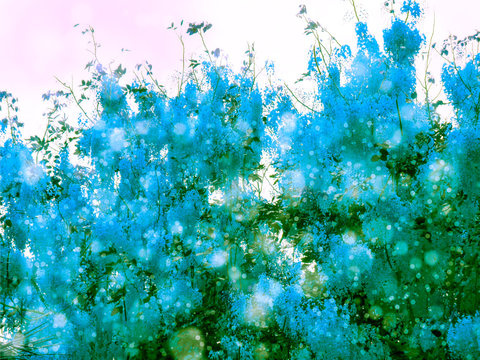 blue shower flower snow background in spring