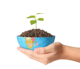 global  in human the hand