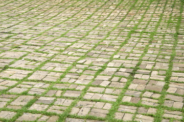 Fototapeta premium walkway with grass growing between the stones.