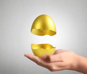 Hand Holding  golden eggs