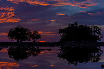 Fototapeta na wymiar Silhouette shoot of landscape view of tree in twilight