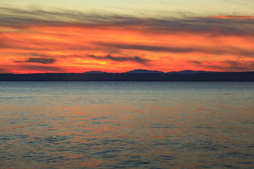 Obraz premium Golden Gardens Sunsets