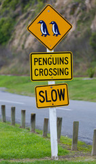 Penguins Crossing Schild in Oamaru in Neuseeland