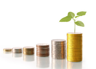 Investment concept, Coins graph stock