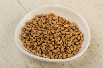 Wheat grains