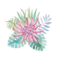 Watercolor illustration, tropical flowers, leaves - 146623030
