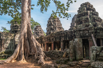 Banteay Kdei temple with silk cotton tree roots in Angkor, Siem Reap, Cambodia.