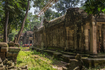 Fototapeta premium Ta Prohm temple in Angkor, Siem Reap, Cambodia.