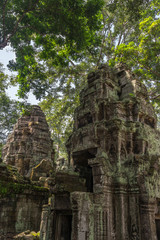 Ta Prohm temple in Angkor, Siem Reap, Cambodia.