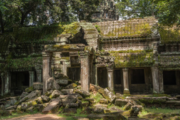 Fototapeta premium Ta Prohm temple Hall of Dancers in Angkor, Siem Reap, Cambodia.
