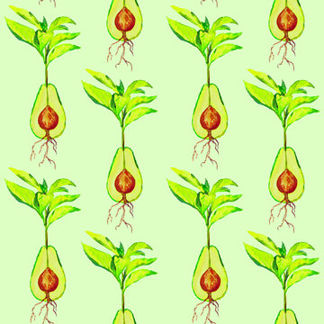 Green Avocado sprouts with roots, seamless pattern design, hand painted watercolor illustration