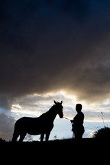 Fototapeta na wymiar silhouette of person with horse