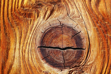 detail of beautiful knot on spruce wood plank