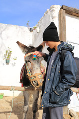 Fototapete bei efototapeten.de bestellen   