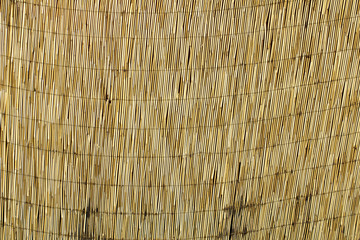 Brown bamboo wall
