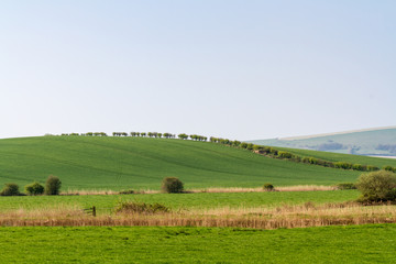 Obraz premium Krajobraz Sussex