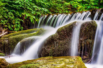 Obraz premium Waterfall Shypit in the Ukrainian Carpathian mountains on the long exposure