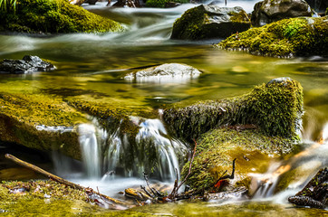 Fototapeta na wymiar Waterfall Shypit in the Ukrainian Carpathian mountains on the long exposure