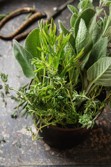 Mix of fresh Italian herbs from garden on an old table. Rosemary, temyan, oregano. Dark background.