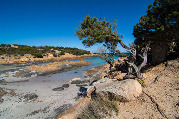 italy sardinia landscape prince bay in summer