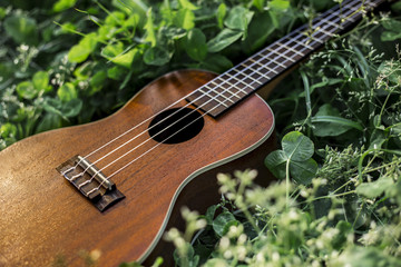 森の中のウクレレ