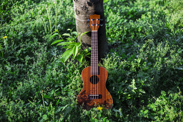 森の中のウクレレ