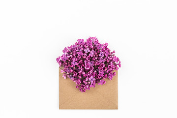 close up of opened craft paper envelope filled with spring blossom purple lilac flowers laying on white background. top view. concept of love and proposal. Flat lay. happy valentines day. womens day.