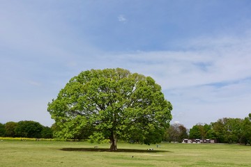 公園広場