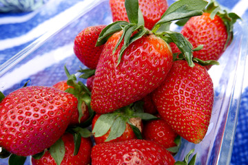 Fresh organic strawberry