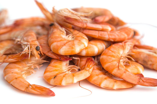 Crevettes
