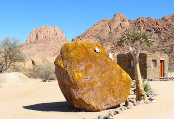 Quiver tree and big red boulder #1