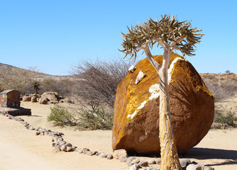 Quiver tree and big red boulder #2
