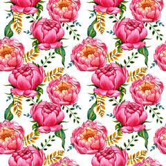 Wildflower peony flower pattern in a watercolor style isolated.