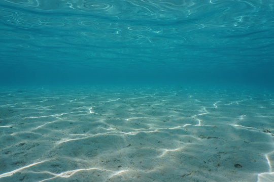 Sandy bottom and sea surface from underwater in a tropical lagoon, Pacific ocean, natural scene, French Polynesia