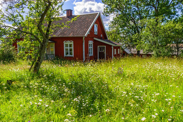 Overgrown garden at a red cottage - obrazy, fototapety, plakaty