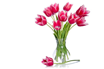 Beautiful and delicate bouquet of tulips in a vase on a clear white background