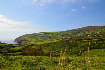 Obraz premium irische Landschaft