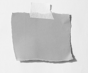 Piece of torn paper, space for copy
