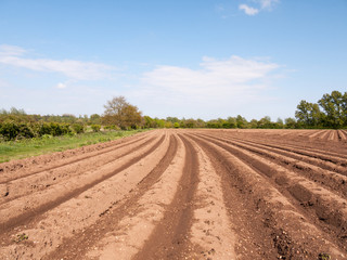 spring plowed field waiting for seed to be sown and crops grown