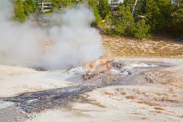Lower geyser basin