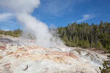 Norris geyser basin