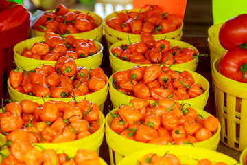 farmer's market selling peppers