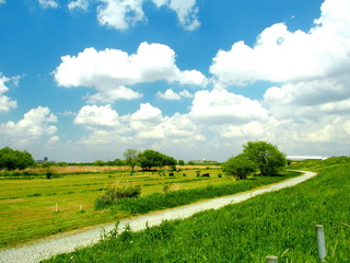 Naklejka premium 春の江戸川河川敷風景
